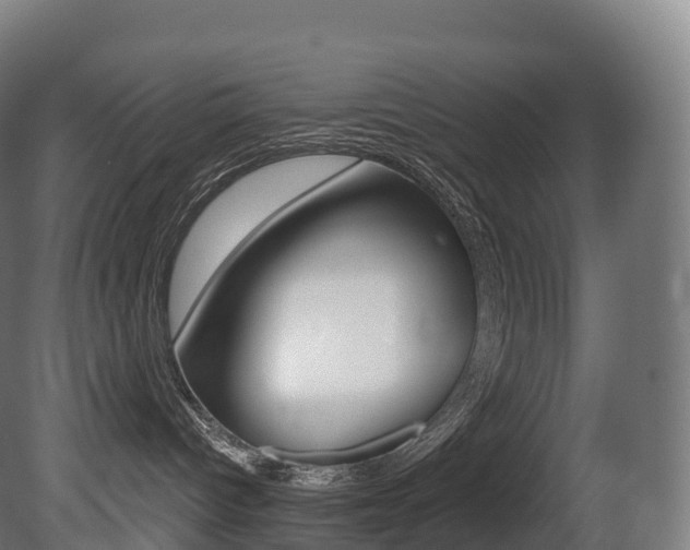 X0000081500096200701121150