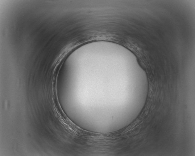 X0000081500098200701121149