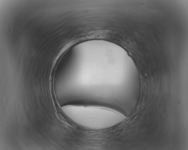 X0000081500100200701121149
