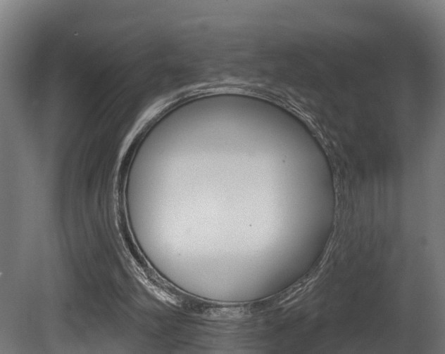 X0000081500102200701121149
