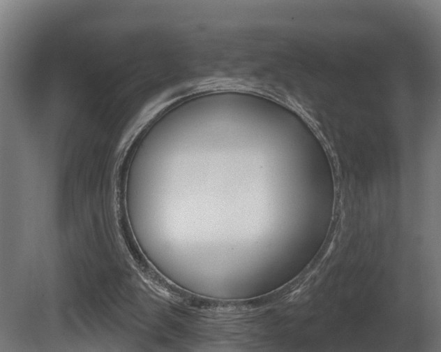 X0000081500103200701121149