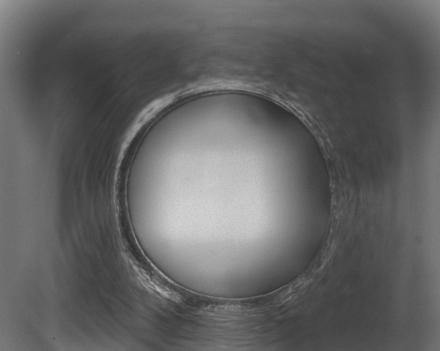 X0000081500104200701121149