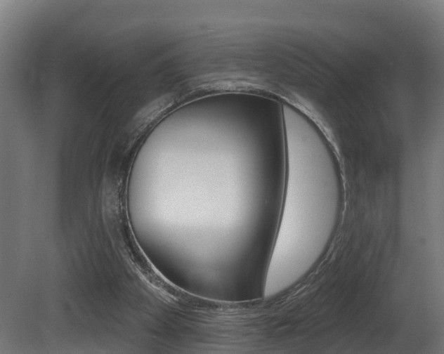 X0000081500105200701121149