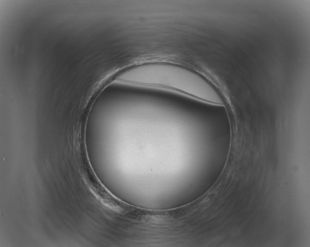 X0000081500107200701121149