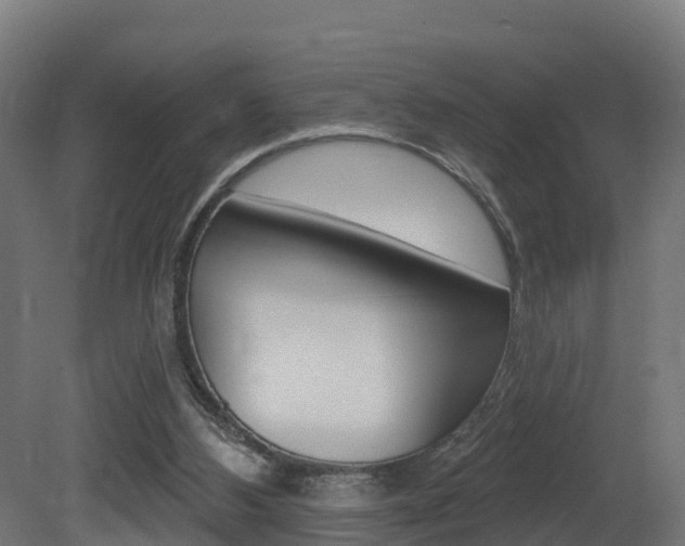 X0000081500108200701121149