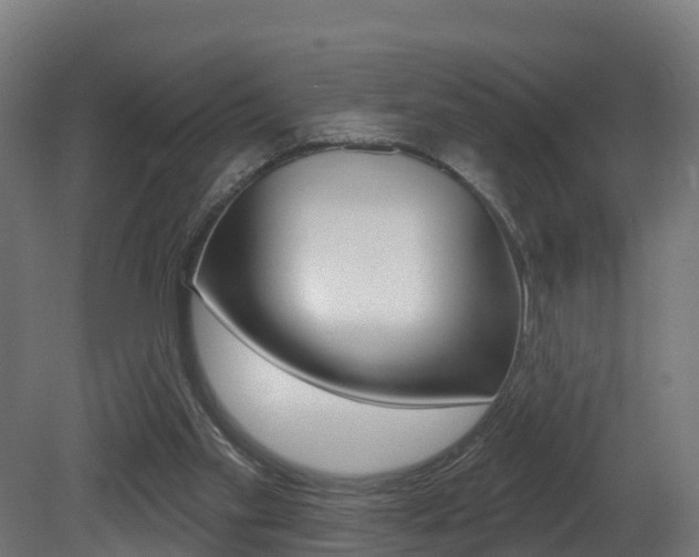 X0000081500109200701121149