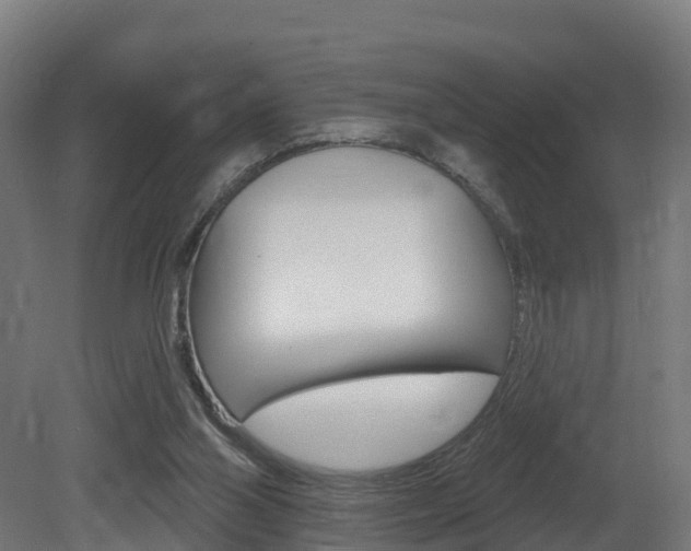 X0000081500110200701121149