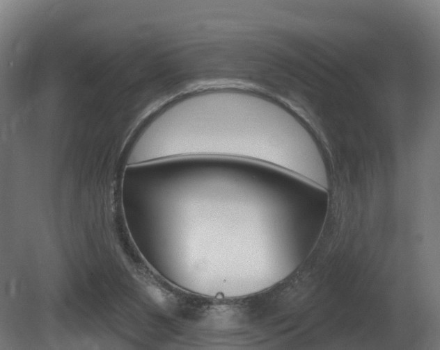 X0000081500111200701121149
