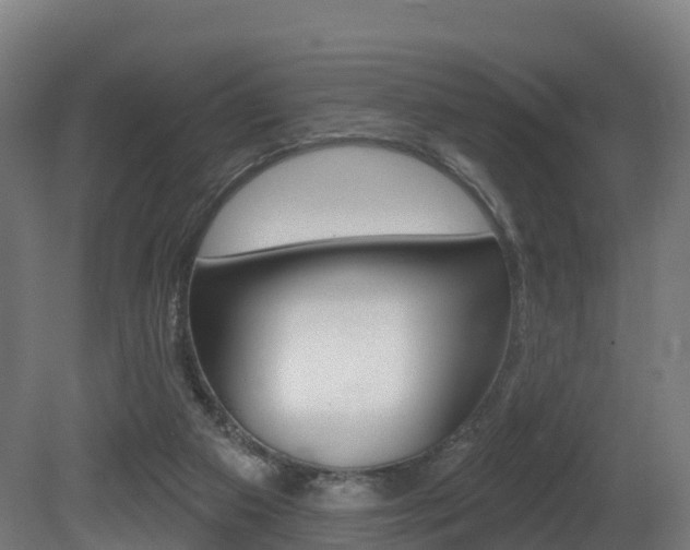 X0000081500113200701121149