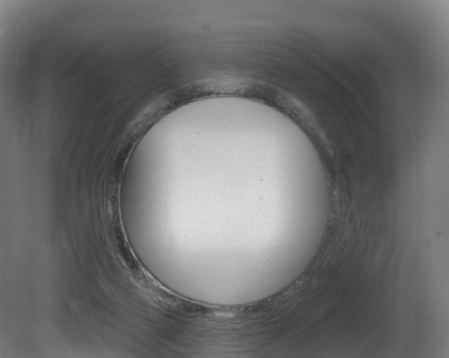 X0000081500114200701121149