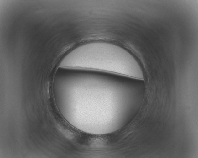 X0000081500115200701121149