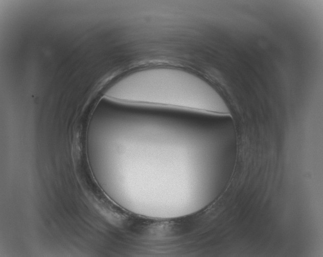 X0000081500116200701121149