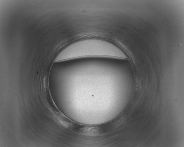 X0000081500117200701121149