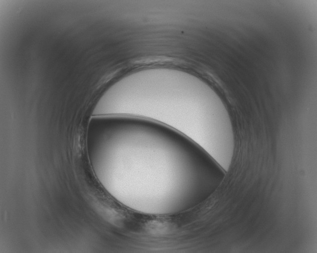 X0000081500119200701121149
