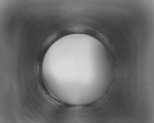 X0000081500120200701121149