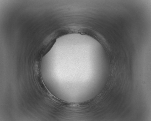 X0000081500121200701121149
