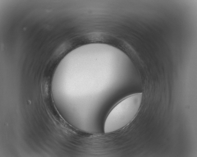 X0000081500124200701121149