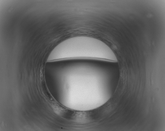 X0000081500127200701121149