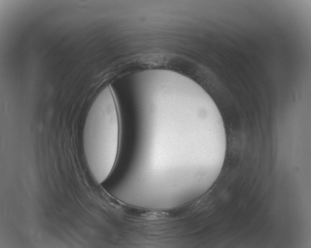 X0000081500128200701121149