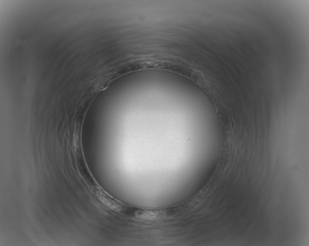 X0000081500129200701121149