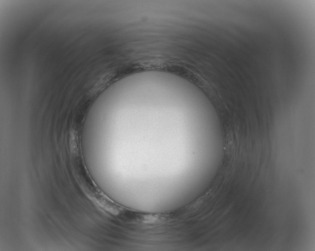 X0000081500130200701121149