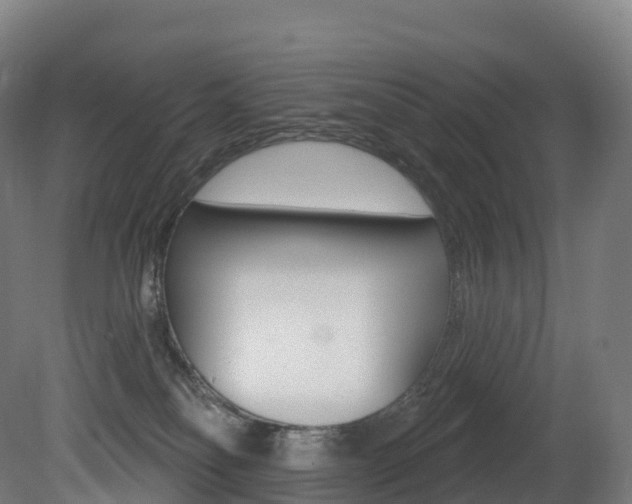 X0000081500134200701121148