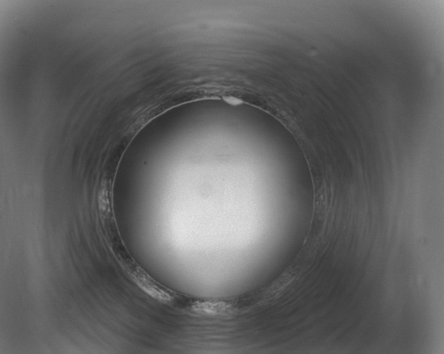 X0000081500137200701121148