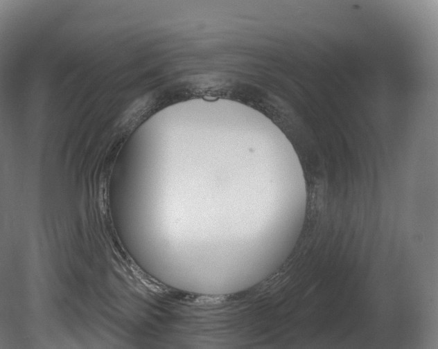 X0000081500138200701121148