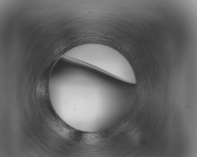X0000081500139200701121148