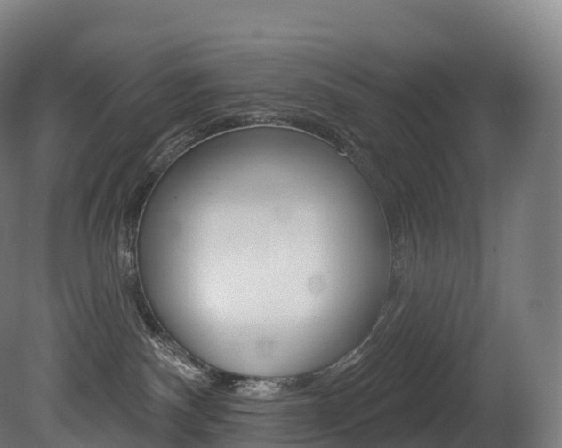 X0000081500140200701121148