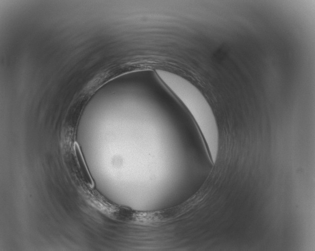 X0000081500141200701121148