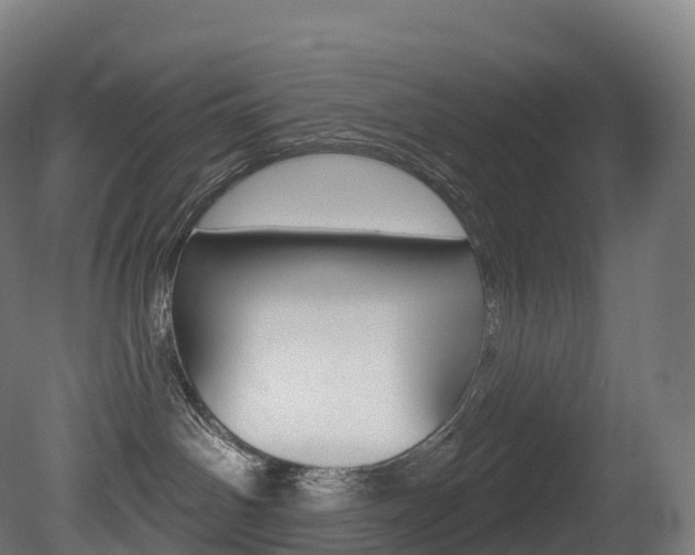 X0000081500142200701121148