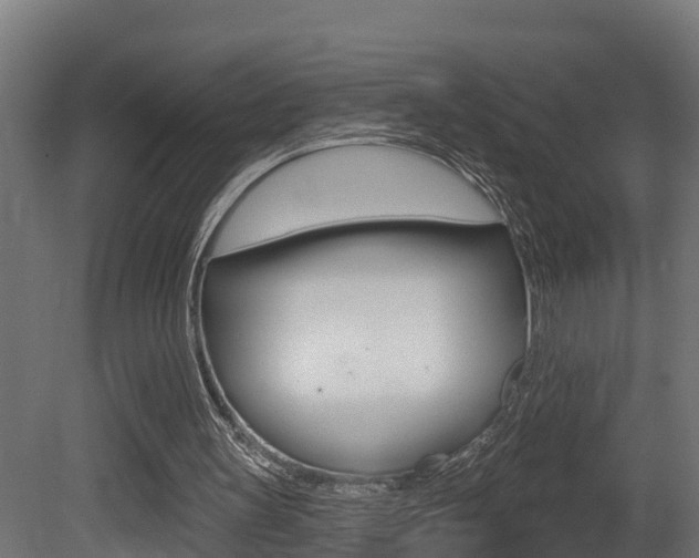 X0000081500147200701121148