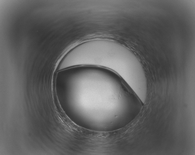 X0000081500148200701121148