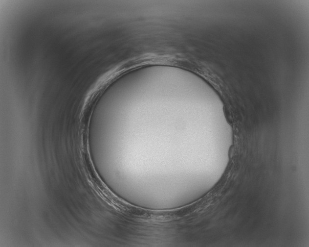 X0000081500149200701121148