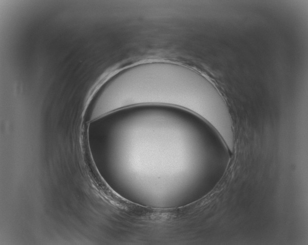 X0000081500152200701121148