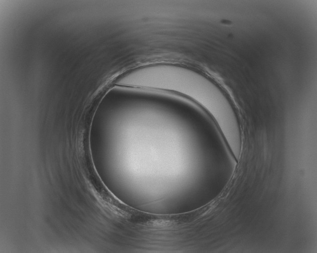 X0000081500154200701121148