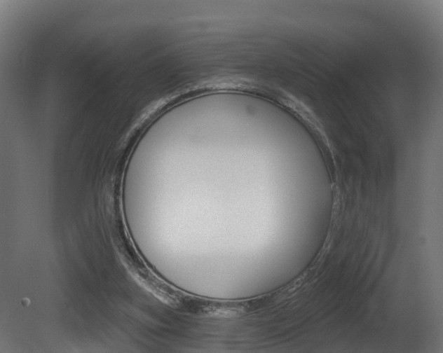 X0000081500155200701121148