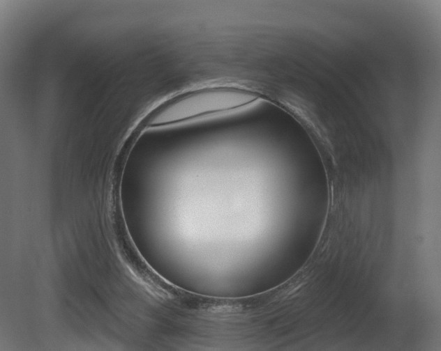 X0000081500156200701121148