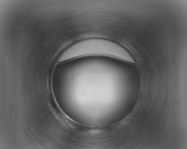 X0000081500158200701121148