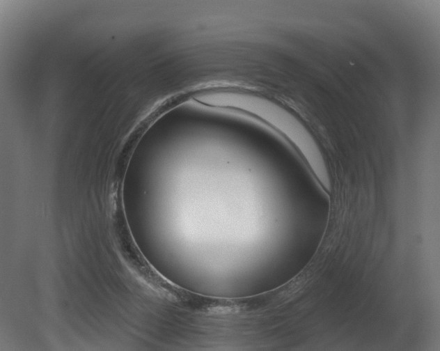 X0000081500160200701121148