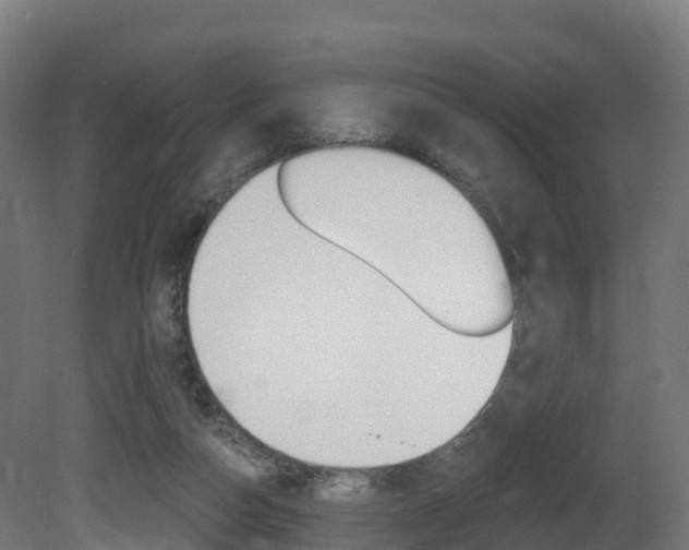 X0000081500162200701121148