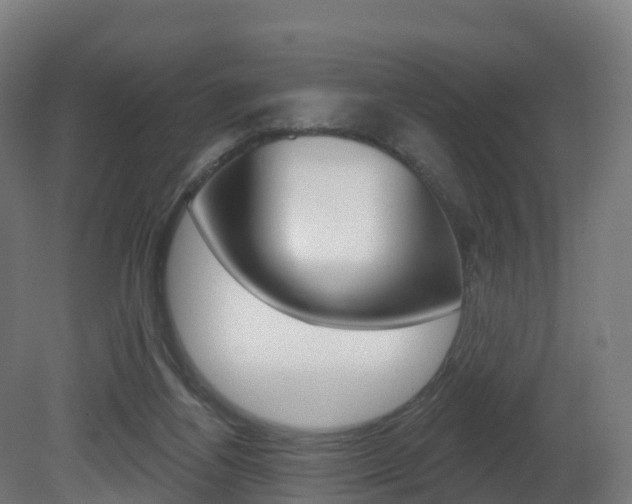 X0000081500164200701121148