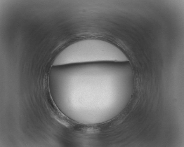X0000081500165200701121148