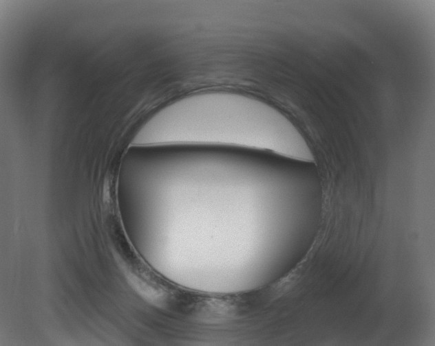 X0000081500166200701121148