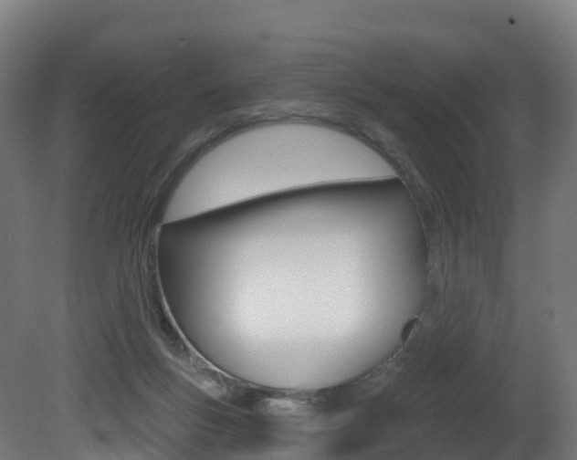 X0000081500167200701121148