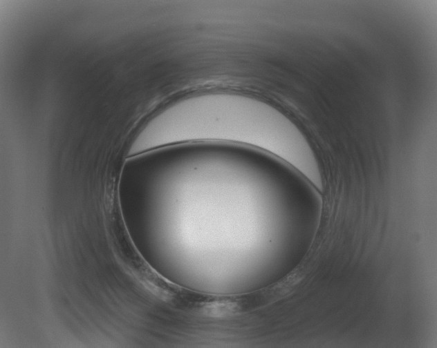 X0000081500168200701121148