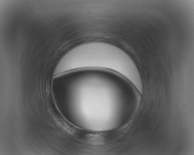 X0000081500170200701121148