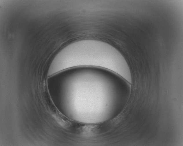 X0000081500172200701121148