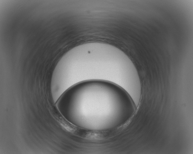X0000081500174200701121148